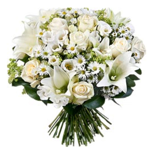 Flowers Lebanon-Andy-Product Image