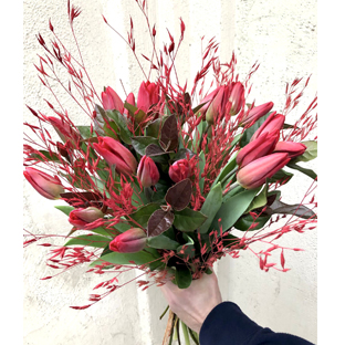 Flowers Lebanon-CHADI-Product Image