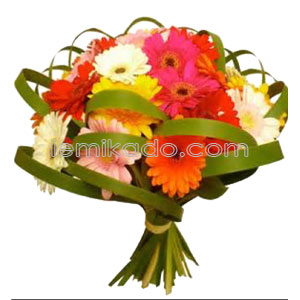 Flowers Lebanon-Bruno-Product Image