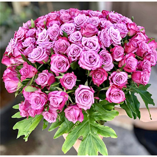 Flowers Lebanon-CHARLOTTE-Product Image