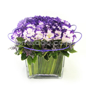 Flowers Lebanon-Magalie-Product Image