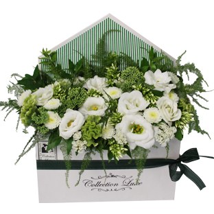 Flowers Lebanon-MILO-Product Image