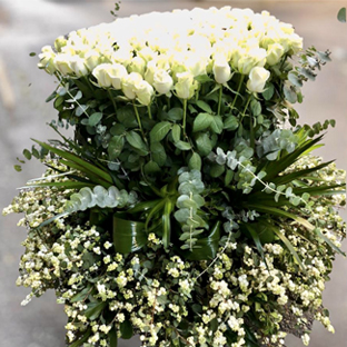 Flowers Lebanon-ORIAN-Product Image