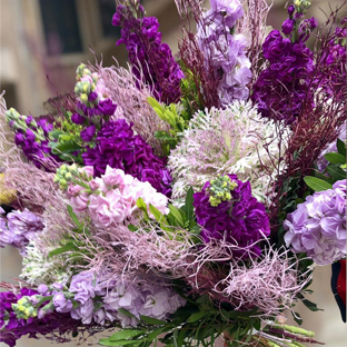 Flowers Lebanon-BAHIYA-image